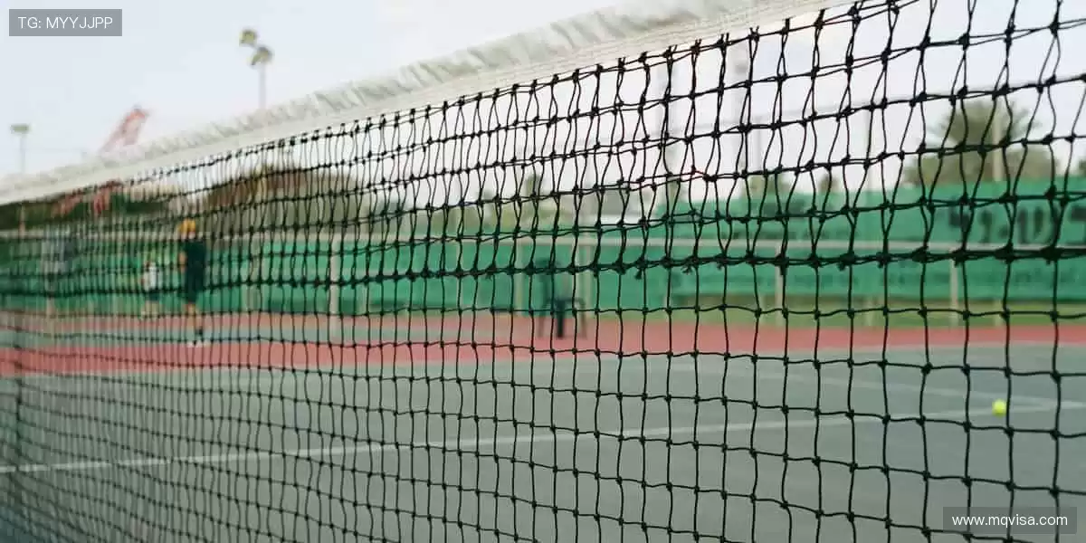 📺超清直播,同步赛场心跳!一键开启,精彩永不缺席🎯